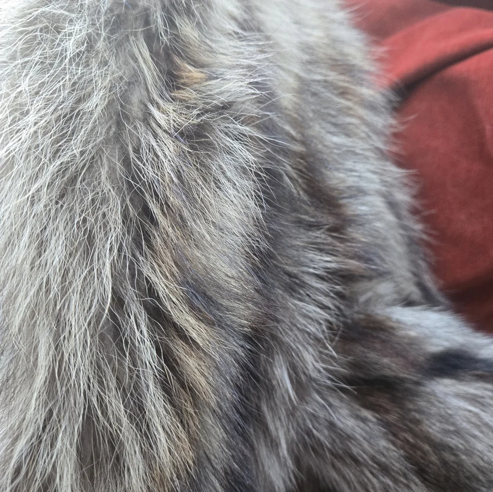 Luxurious Racoon Fur Coat - Picture 8 of 12